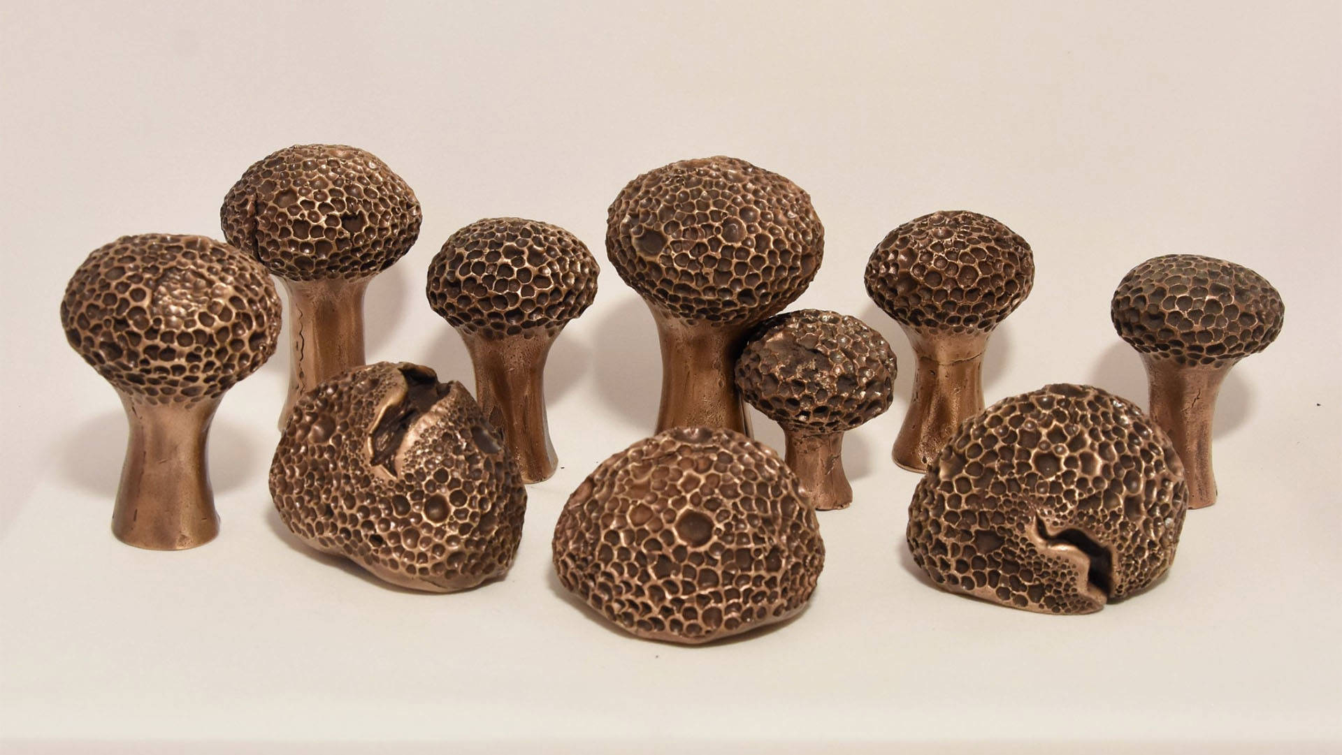 copper colored metalic mushroom cap sculptures against a beige background
