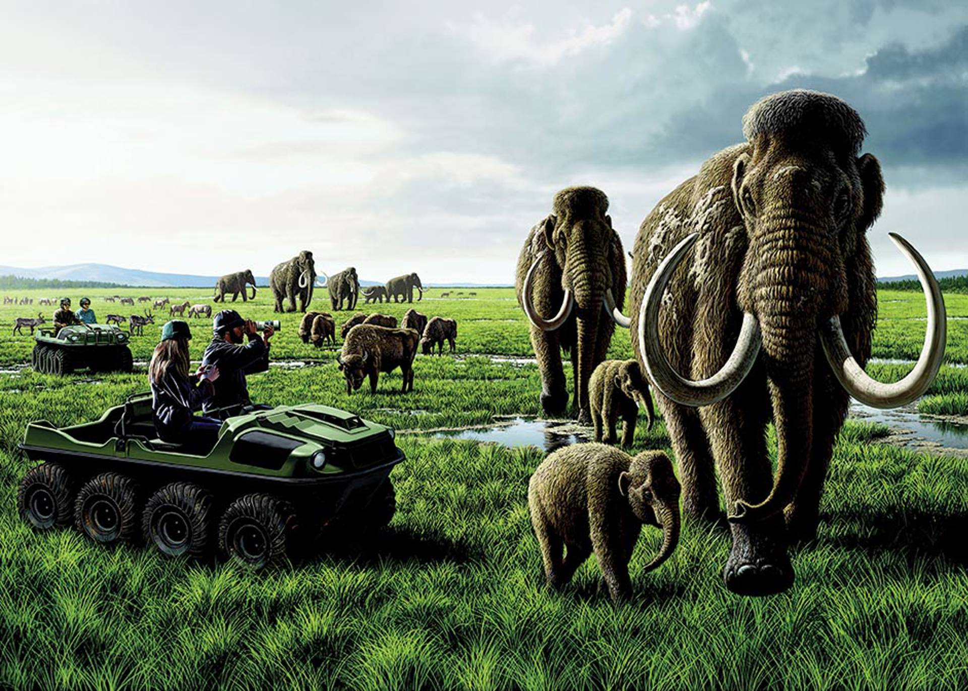 A illustrated image of mammoths walking along a grassy field. People in small vehicles are watching them through binoculars.