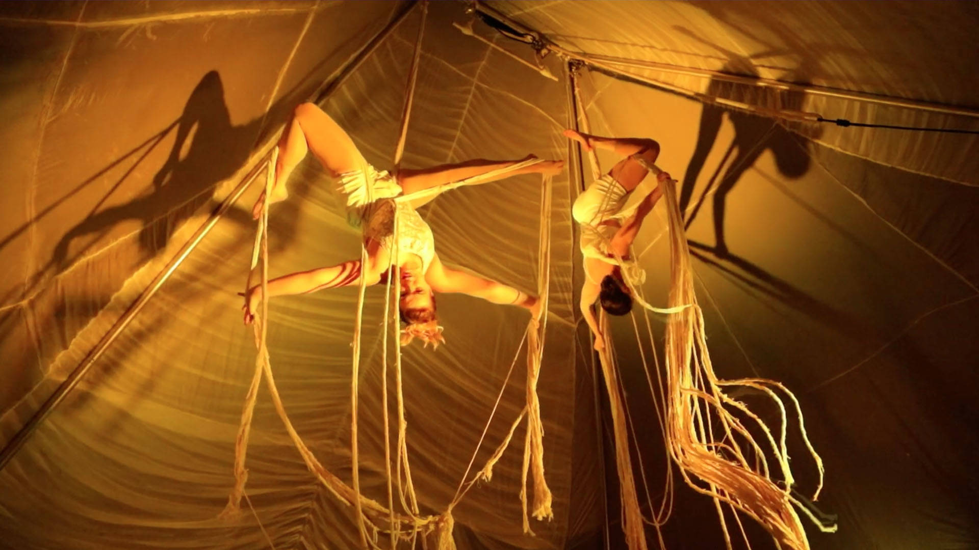 Two aerial performers executing an intricate pose on hanging ropes. They are inside a tent with yellow light.
