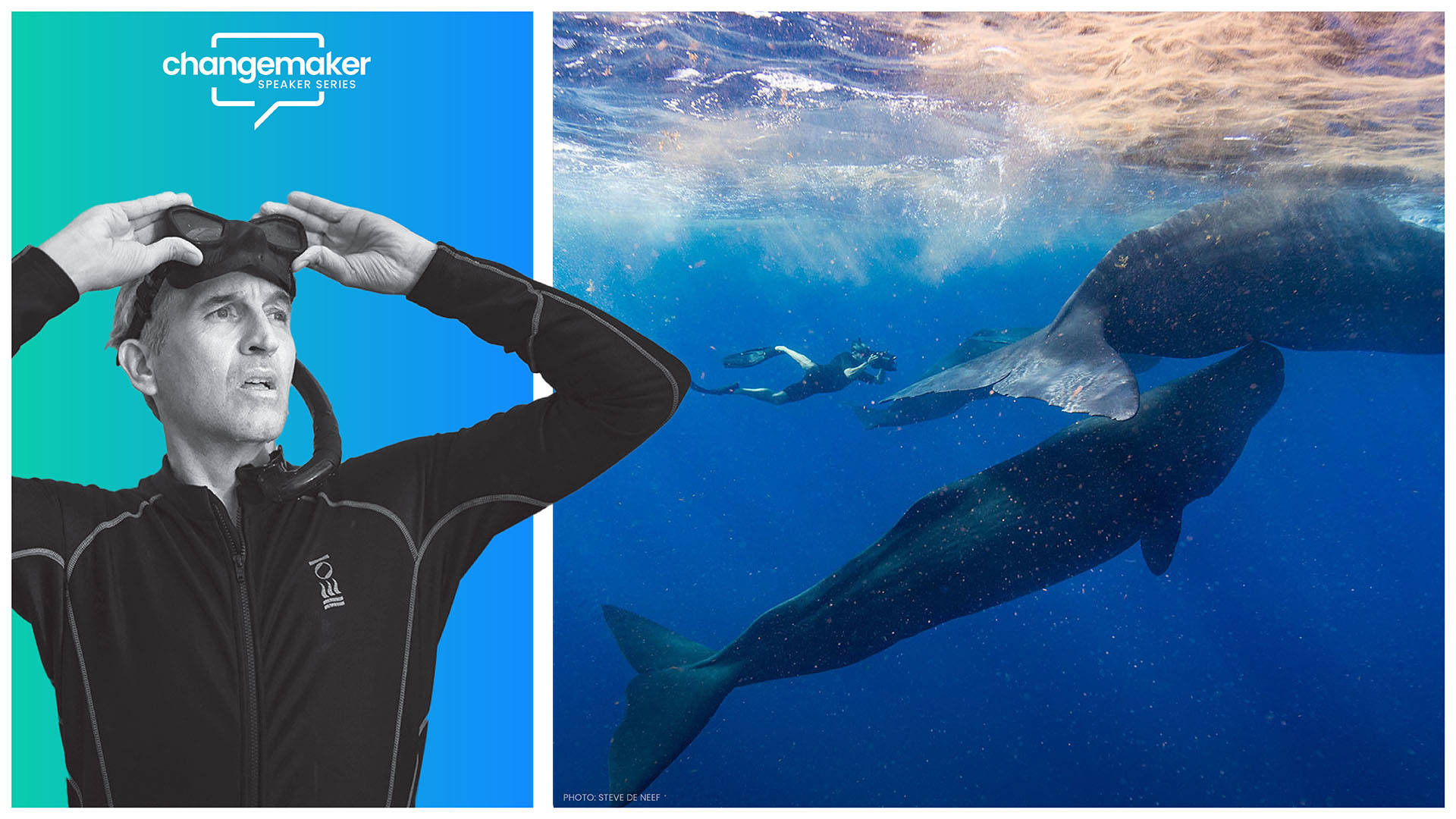 Changemaker Speaker Series. Composite image of a white-haird caucasian man in a black wetsuit pulling off snorkeling goggles and two large whales underwater with a photographer swimming nearby.