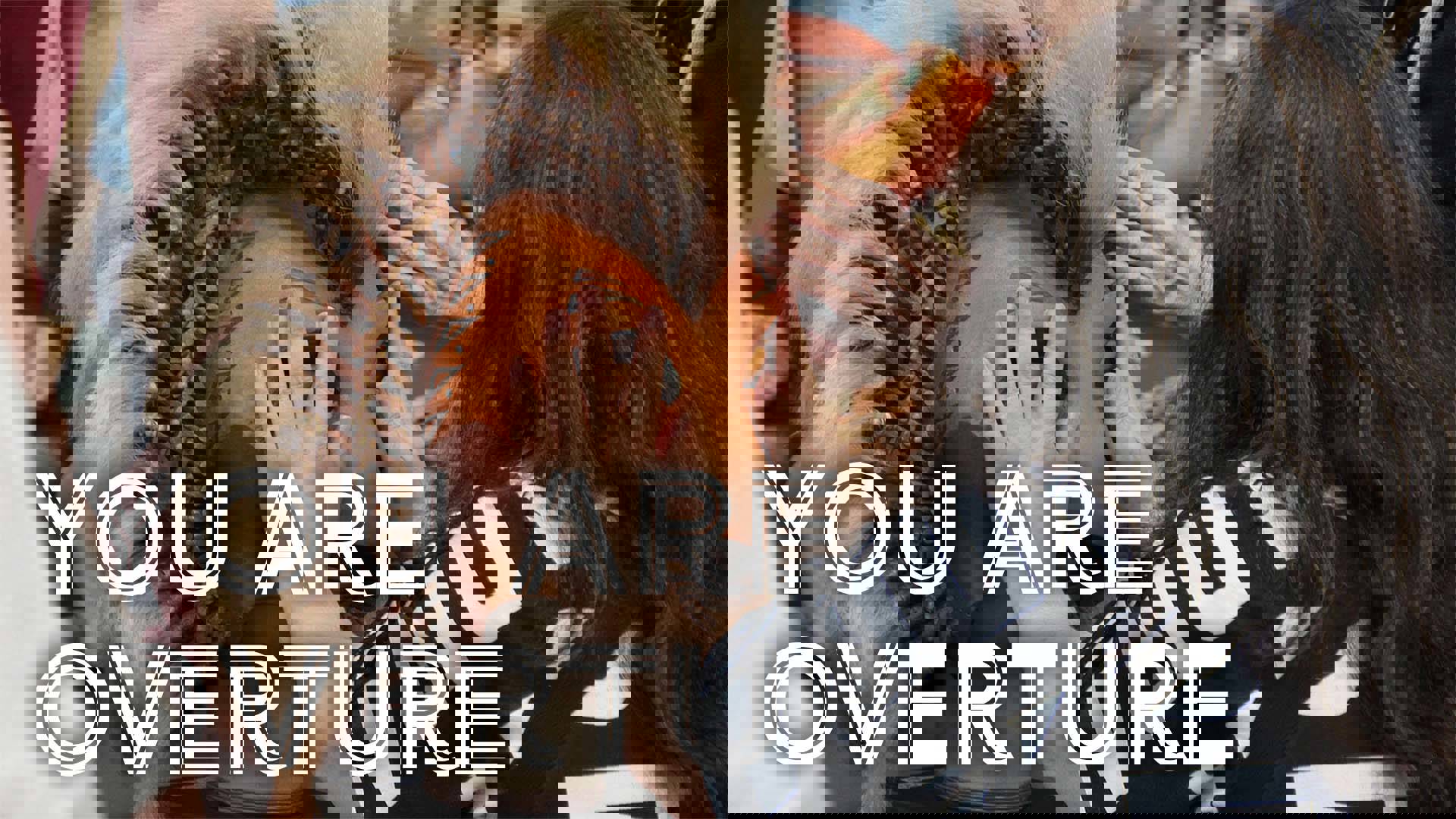 Banner reads: "You are Overture." A person with long dark hair and wearing a black and white printed shirt touches a wooden lion mask from Disney’s The Lion King musical as part of a Tactile Tour for blind or low vision guests.