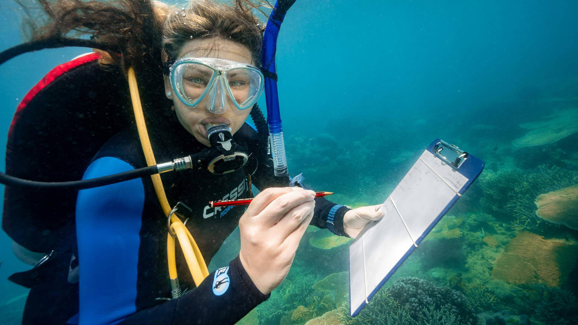 A women with light complexion wearing a diving wetsuit, scuba googles and mouthpiece underwater. Coral reefs can be seen around her as she holds a clipboard and pen.