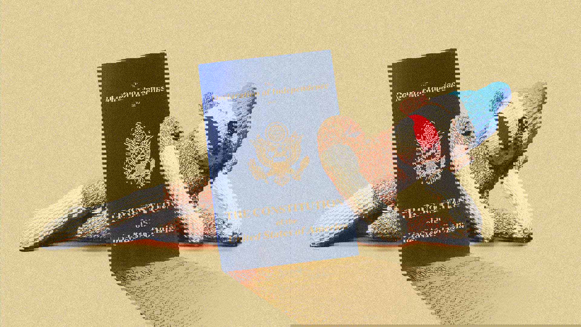 Tan banner with a sock puppet monkey laying on its side and propping it's head on its hand. a blue copy of the constitution is leaning against the monkey.