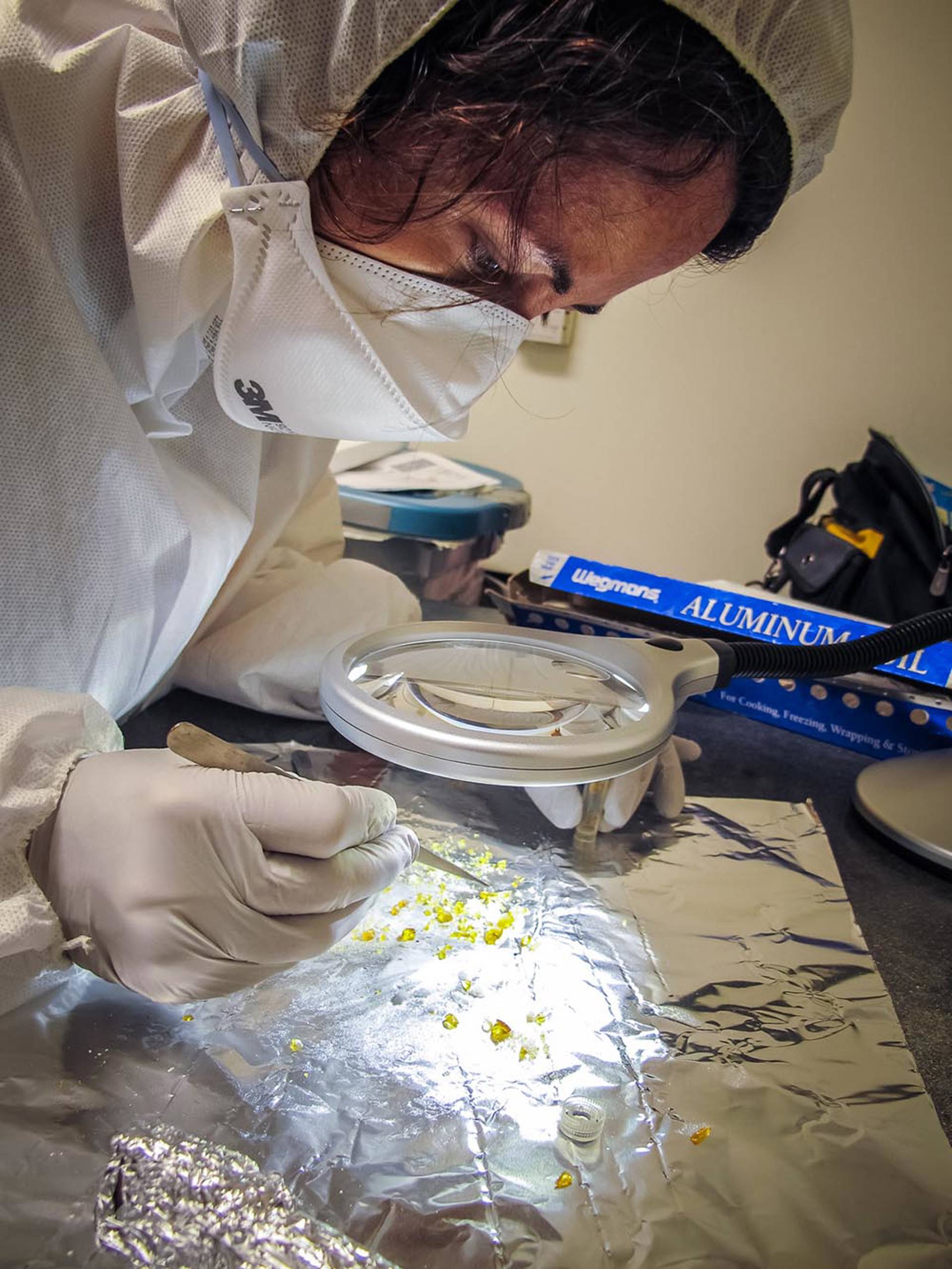A scientist in a white coat, gloves and mask sorting small pieces of amber under a magnifying glass.