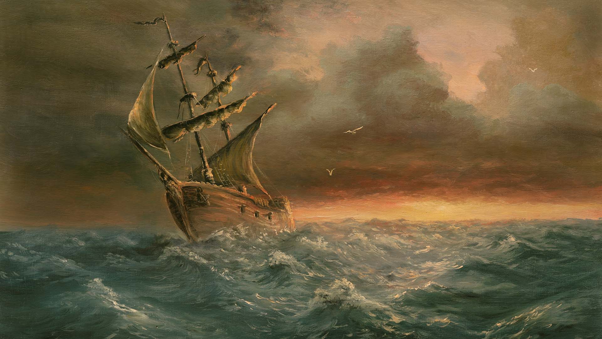 A Pirate's Life with Archaeologist Lisa Briggs