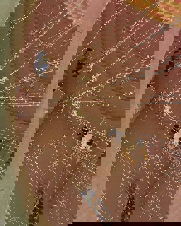 Overture tech staff suspending a halo of lights in Rotunda Lobby