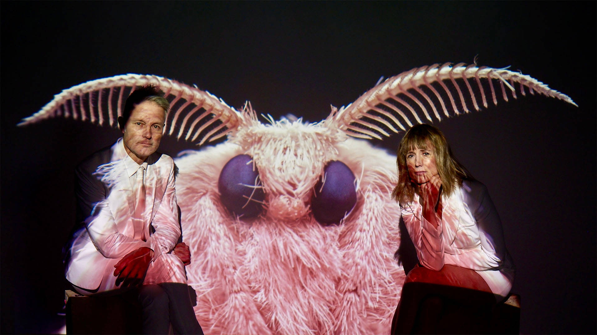 A caucasian man and woman crouching in all white dress clothes while a projected image of a moth's head displays between and on them.
