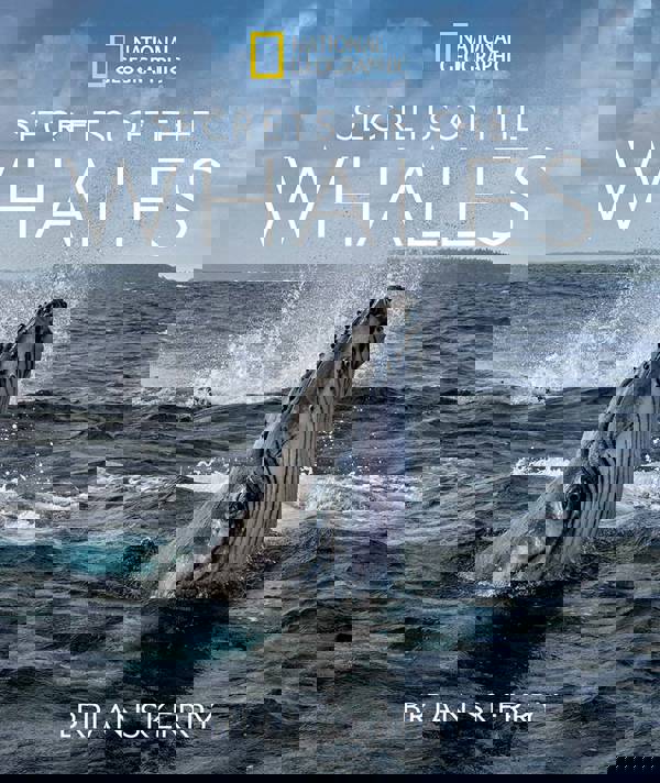 National Geographic: Secrets of the Whales, Brian Skerry. Poster image of a humpback whale's head above the ocean's surface with clouds and land in the background.