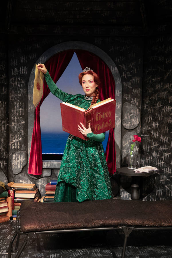 Princess Fiona, a white woman with a long red braid and tiara wearing a deep green gown and holding a large "Fairy Tales" leather book in a castle cell.