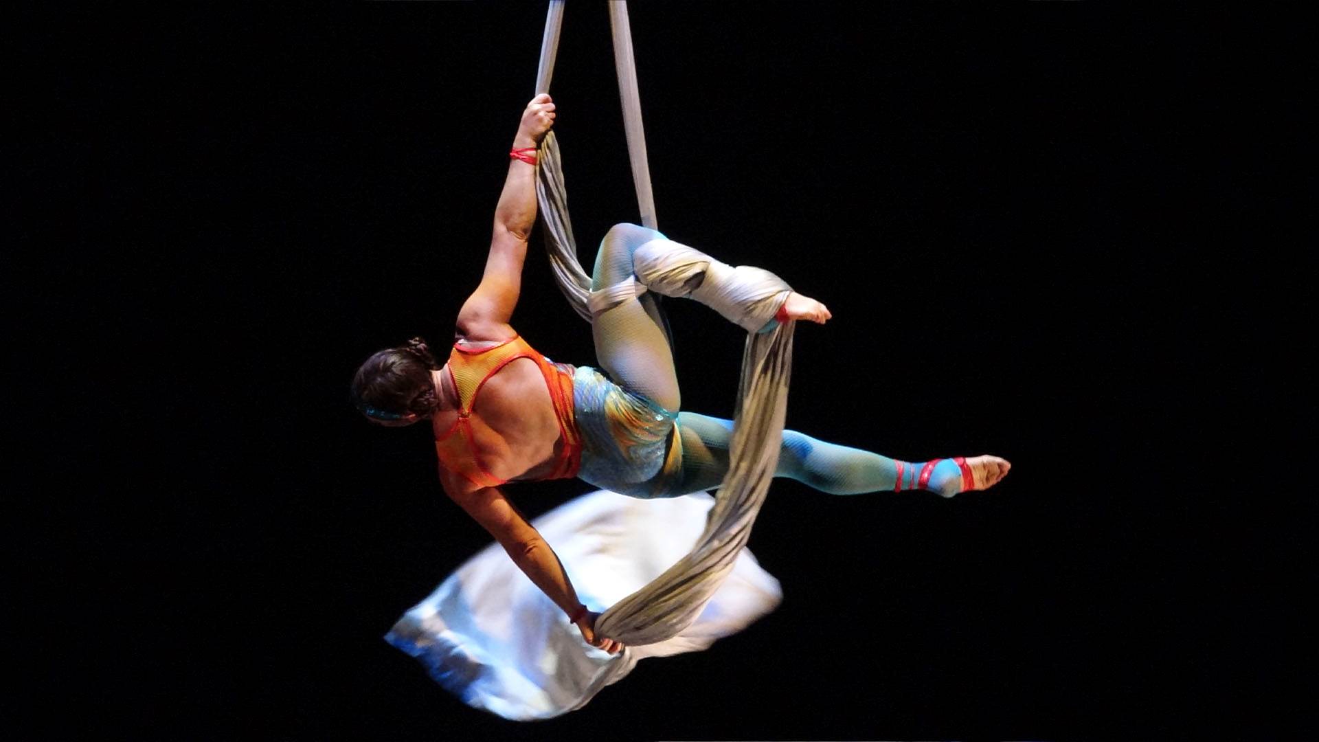 A trapeze artist hanging from a silver cloth. She is wearing an orange and blue leotard.