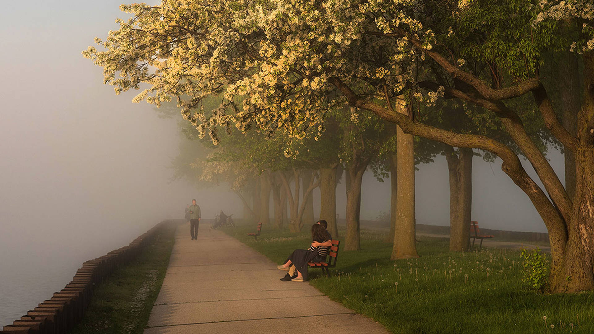Photo of a Foggy spring day. A sidewalk next to a body of water. A couple sits on a bench. a distant figure walks towards the viewer. Many trees are blooming around them.