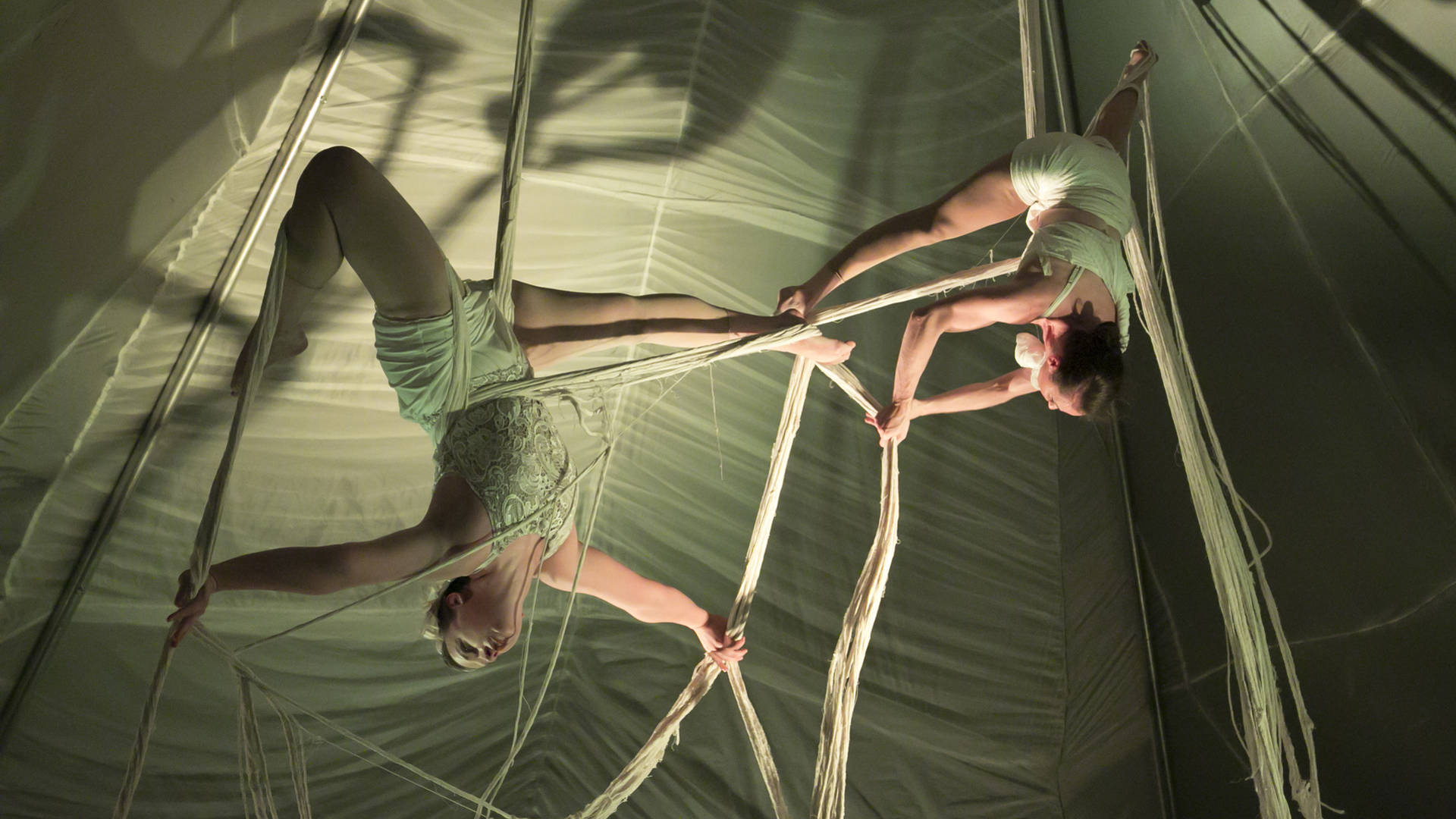 Two acrobats with light complexion are spinning together from a tent ceiling, holding and wrapped into white ropes.