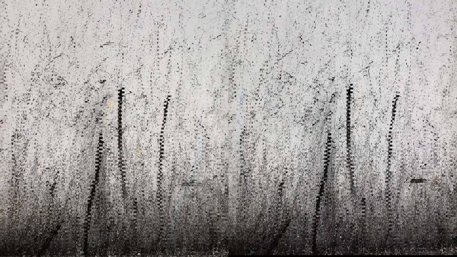 Artwork by Max Sorenson. Black ash lines on white paper.