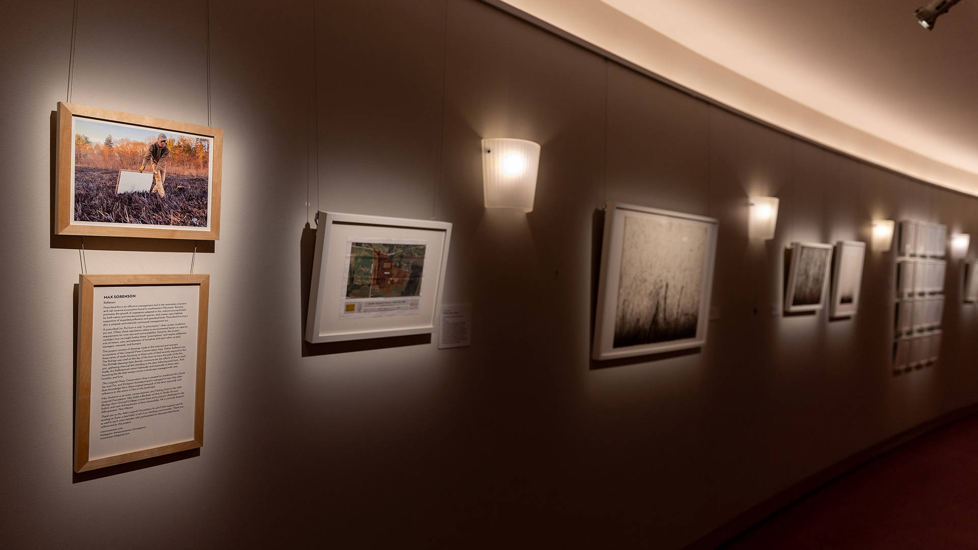 A shadowy gallery wall.