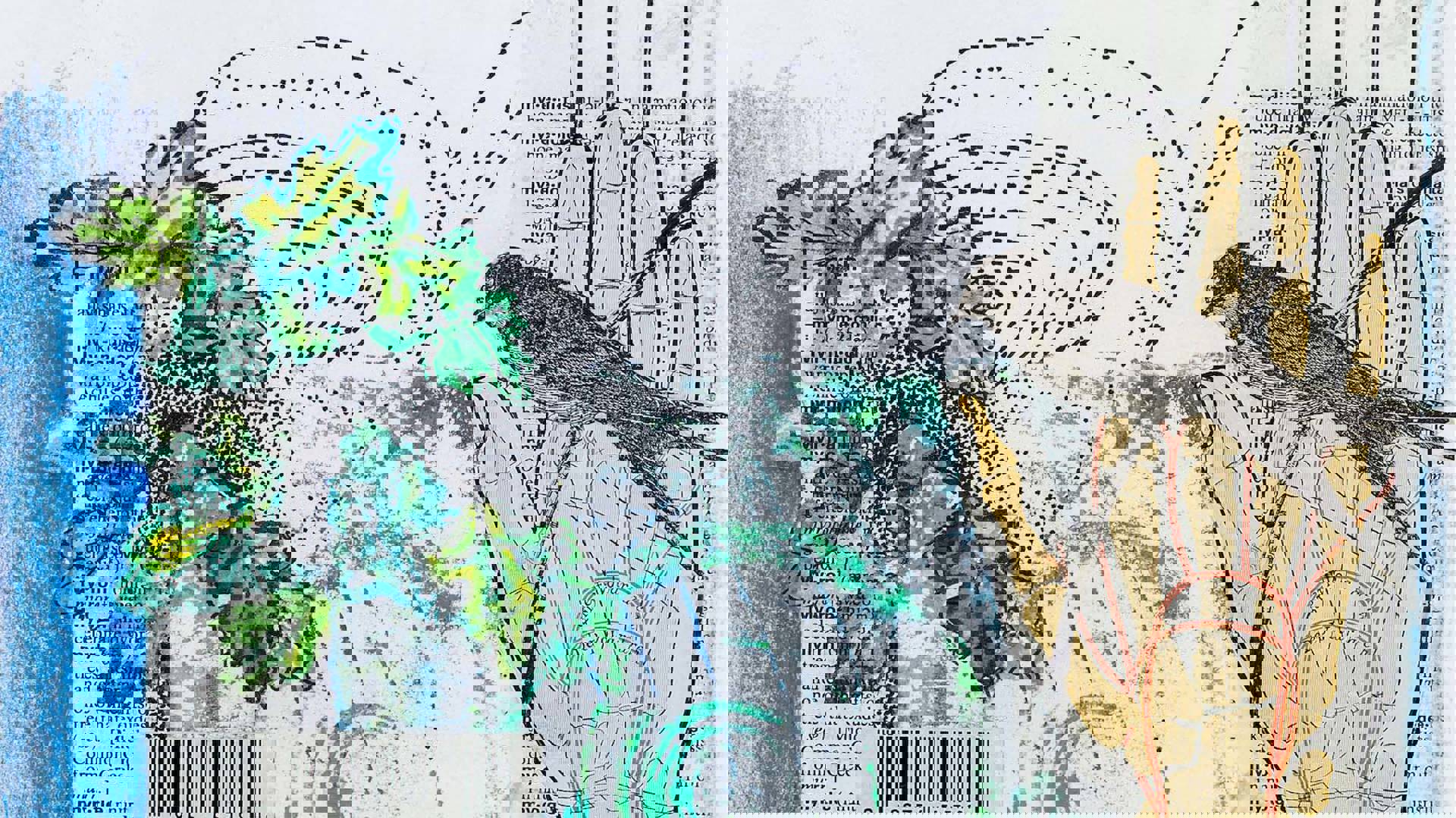 Collage of newspaper, painted leaves, a bird a seethrough hand with bones visible, and other patterns.