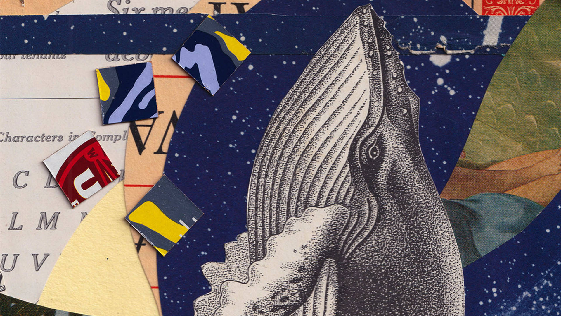 A piece of art featuring a whale against colorful paper cutouts