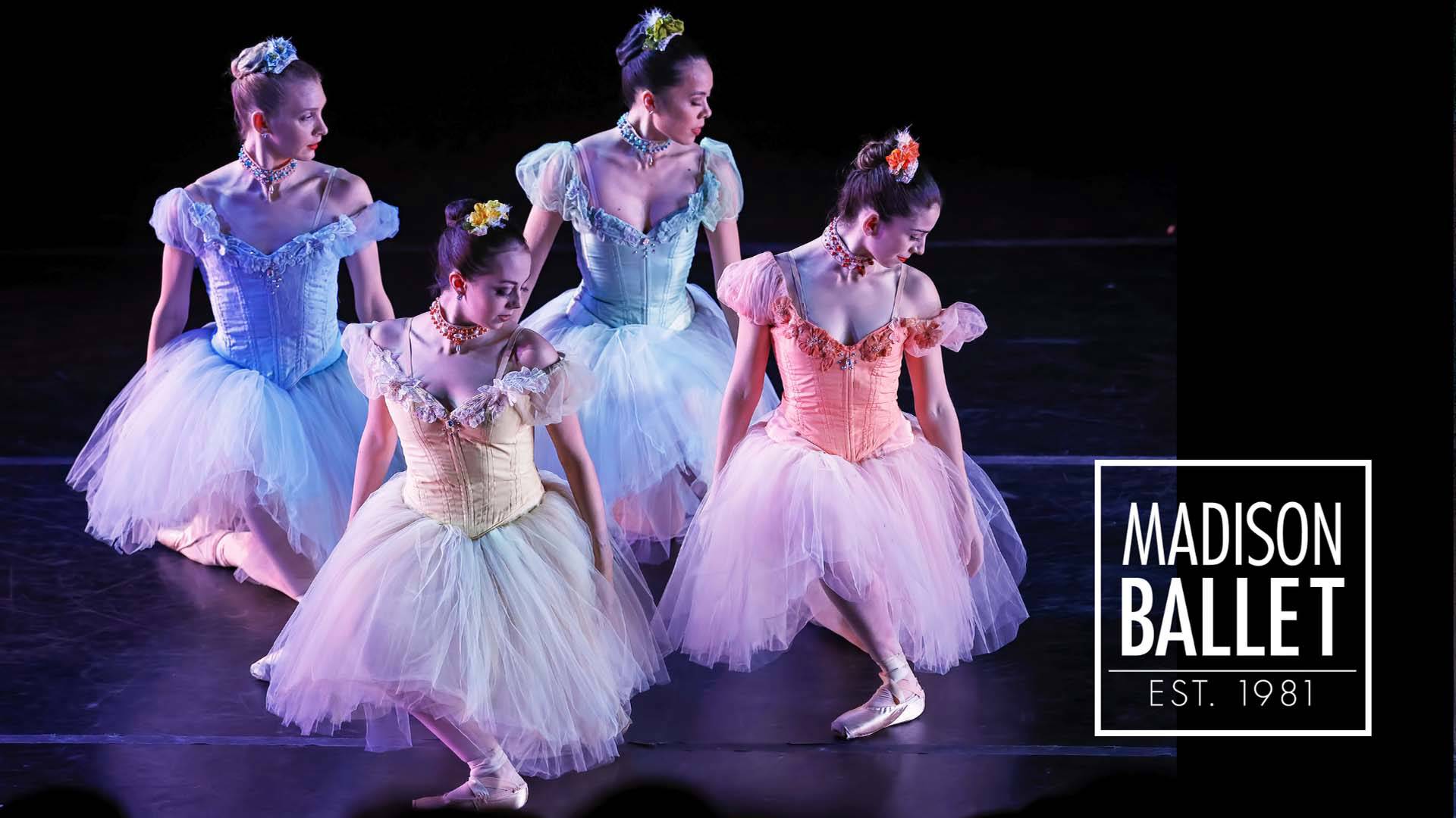 Four ballerinas wearing fairy-like dresses of various colors: blue, yellow, green and orange. They are looking to their left and curtsying. In the lower right corner it says "Madison Ballet Est. 1981".