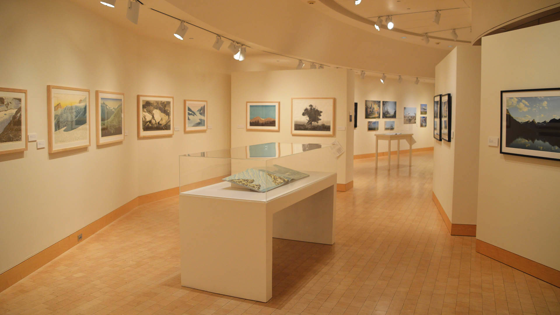 A gallery with many paintings hanging on soft yellow walls. There are tables in the center of the room with art enclosed in glass boxes.