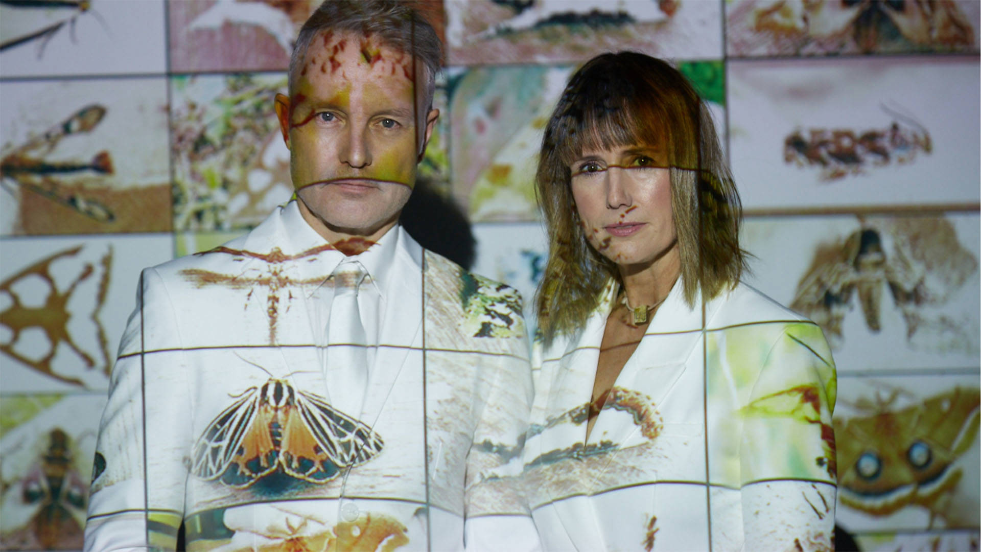 A caucasian man and woman in white suits standing in front of projected images of moths.