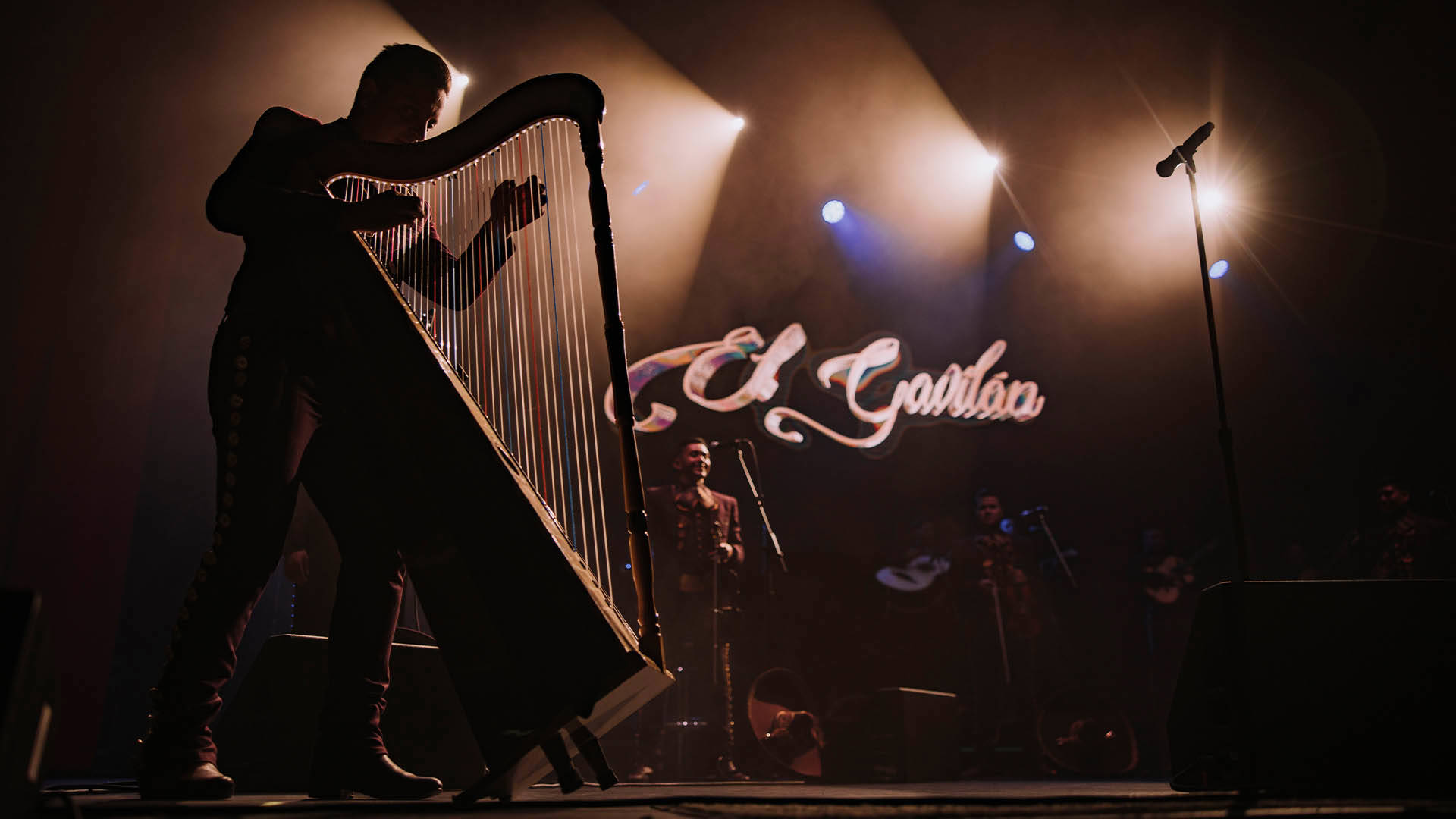 The silhouette of a person playing the harp. They are standing on a stage with stage lights backlighting them.
